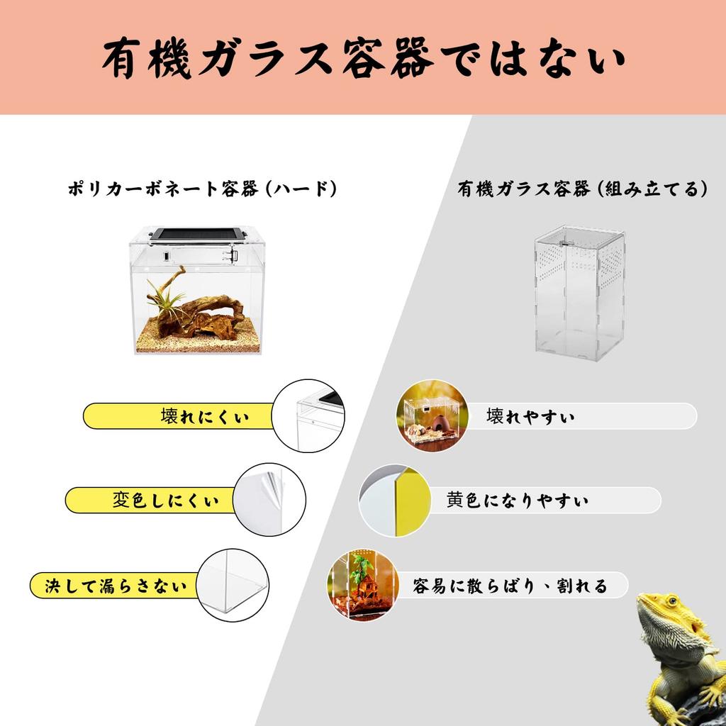 Reptile Growth Small Reptile Cage, Transparent Reptile Cage, Terrarium for Small Animals, Turtles, Turtles, Amphibians, and Other Animals, 20 X 20 X 1