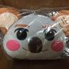 [USED] Koala Cushion 2PM Nickhun