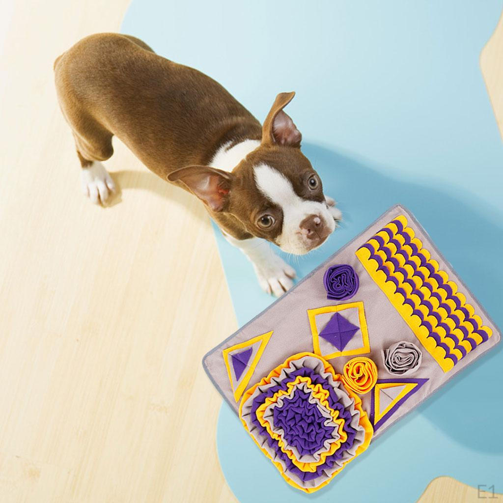 Smelly Matty Interactive Enrichment Puzzle Toy Package Mind Stimulating Brain Games for Boredom