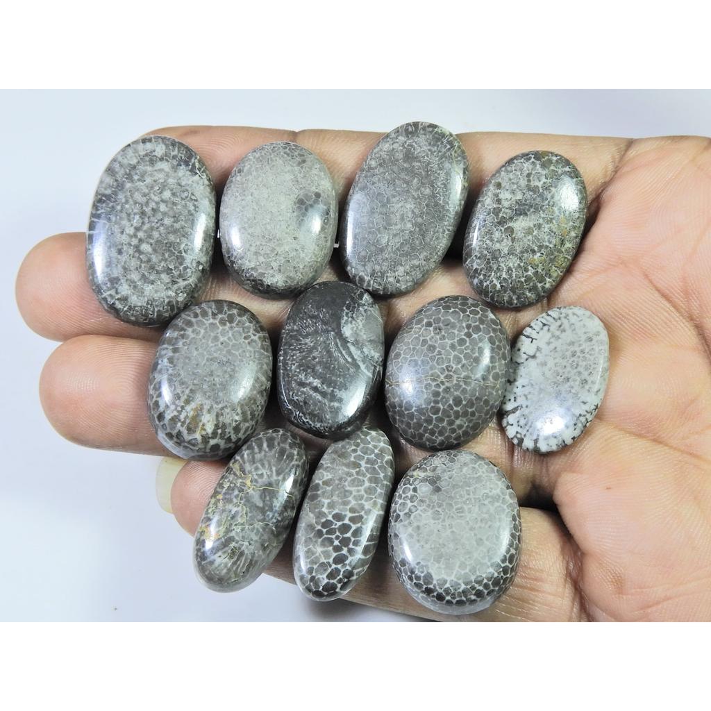 221Cts. Natural Black Fossil Coral Oval Cabochon Loose Gemstone 11Pcs Lot C-638