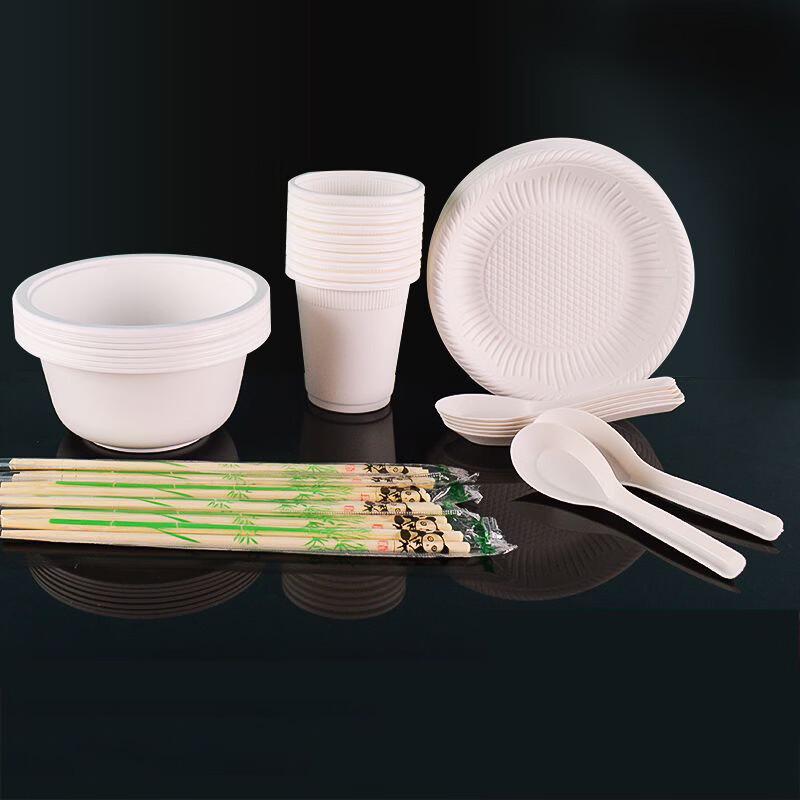 Degradable 5-Piece Disposable Tableware Set