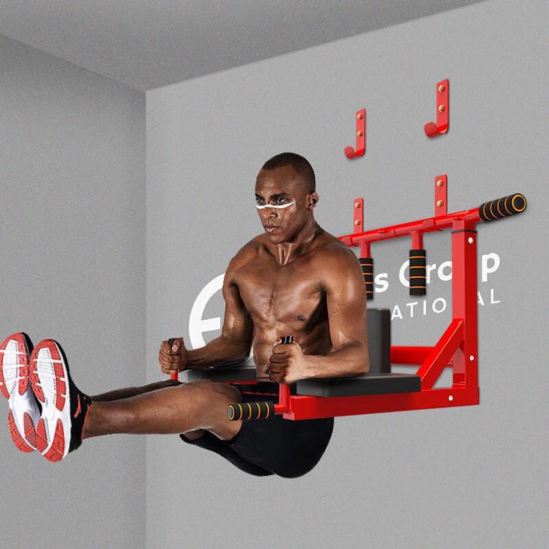 Indoor Wall-Mounted Pull-Up Bar & Sandbag Set