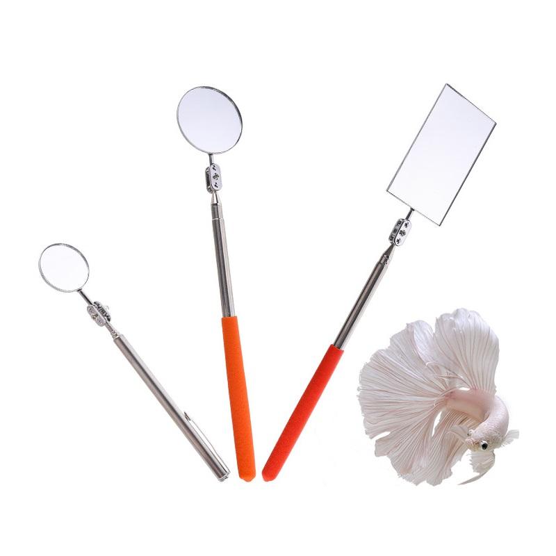 Skalierbarer Edelstahl Aquarium Betta Spiegel Fischbecken Runder Quadratischer Spiegel Für Fische Betta Flowerhorn Buntbarsch Training 3cm 5cm