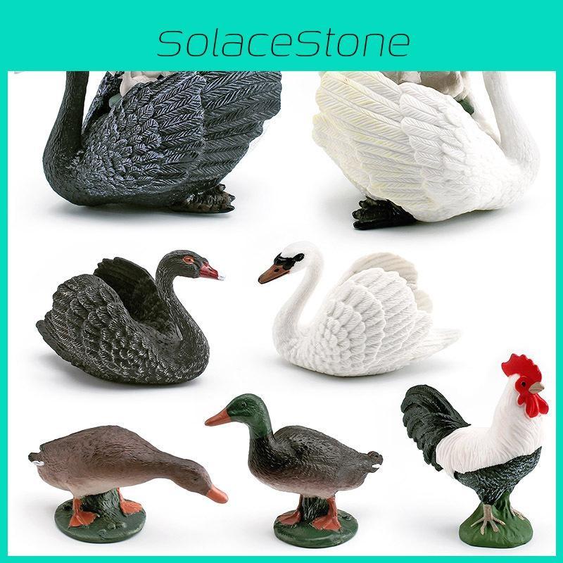 Animal Realistic Figures Model With Ducks Rooster Swans For Display Decorative