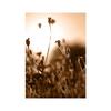 Canvas Painting Autumn Natural Poster Sunset Tree House Grass Reed Wheat Wall Art Print Pictures Living Room Home Decor