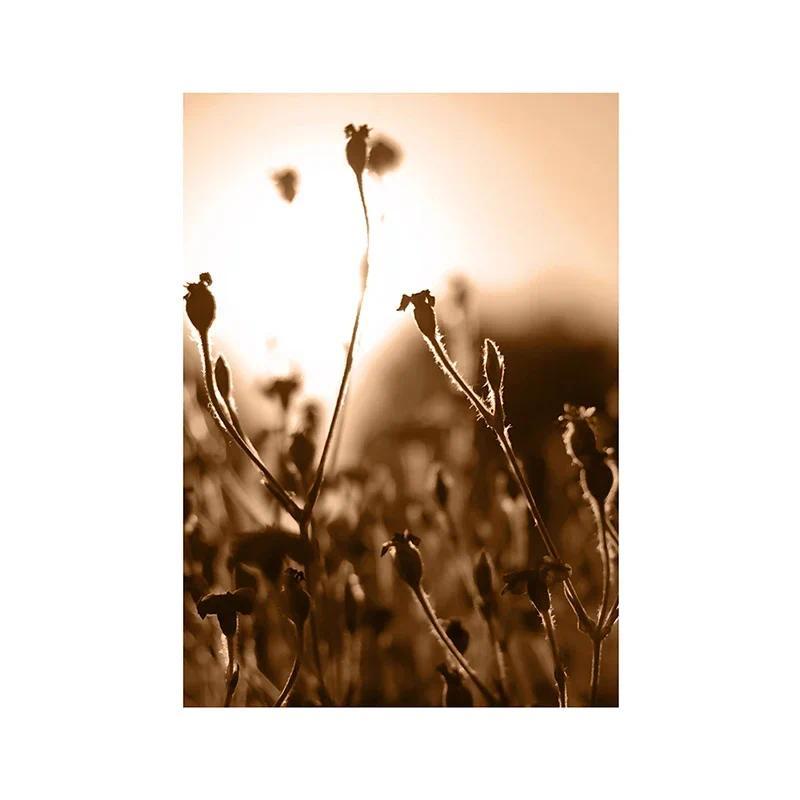 Canvas Painting Autumn Natural Poster Sunset Tree House Grass Reed Wheat Wall Art Print Pictures Living Room Home Decor