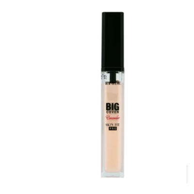 Correttore Big Cover Skin Fit Pro Sand