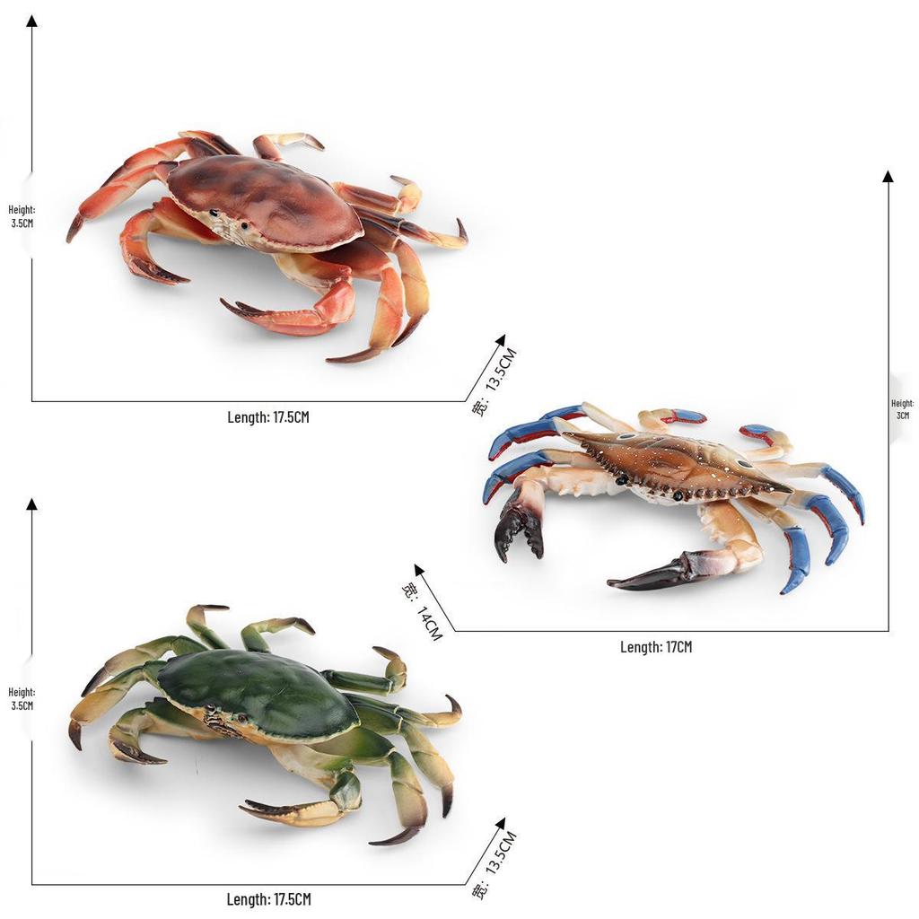 Marine Animal Crab Model: Children's Cognitive Toy and Decorative Three-Eyed Blue Crab Ornament