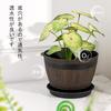 VECELO Planter Set (2 Pots): 19cm Wide X 14cm High. Plastic Planter with Saucer and Drainage Holes. Stylish Design for Succulents, Houseplants, and Ot