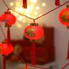 Fu Character Red Lantern String Lights