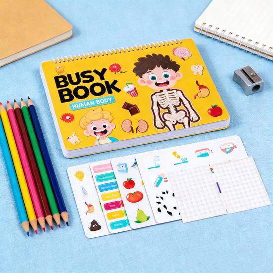 Kinder Menschenkörper Beschäftigungsbuch Kindergarten Vorschule Körperstruktur Anatomie Ruhiges Buch Kleinkinder Pädagogisches Körperteil Lernaktivitäten Buch