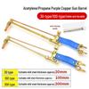 Acetylene Cutting Torch Set with 30m Hose
