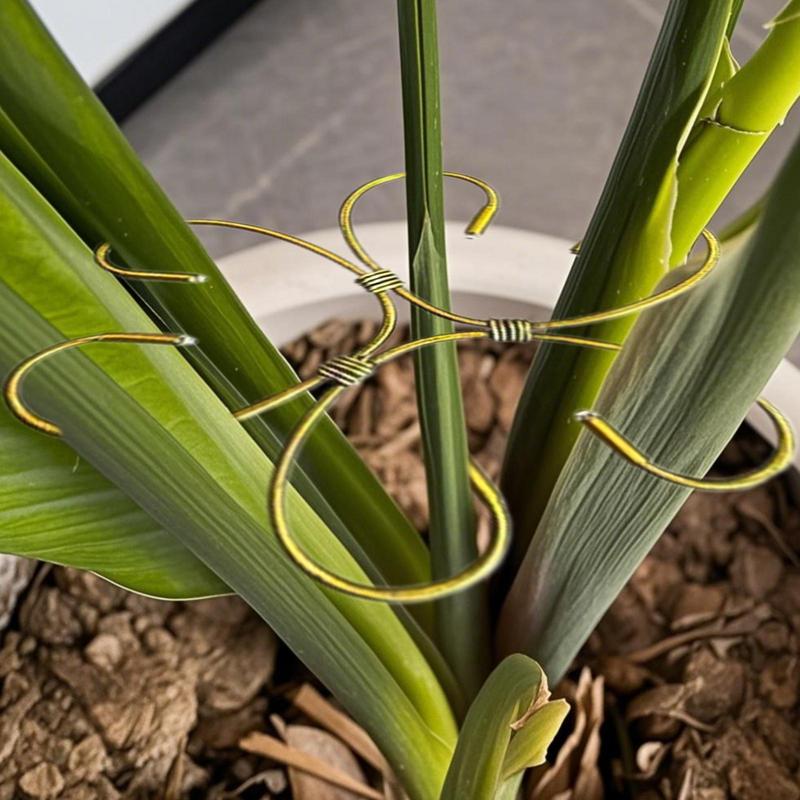 Plant Stem Holder Monstera Plant Support Stem Holder Decorative Metal Flower Trellis Gardening Supplies Clamp Houseplant