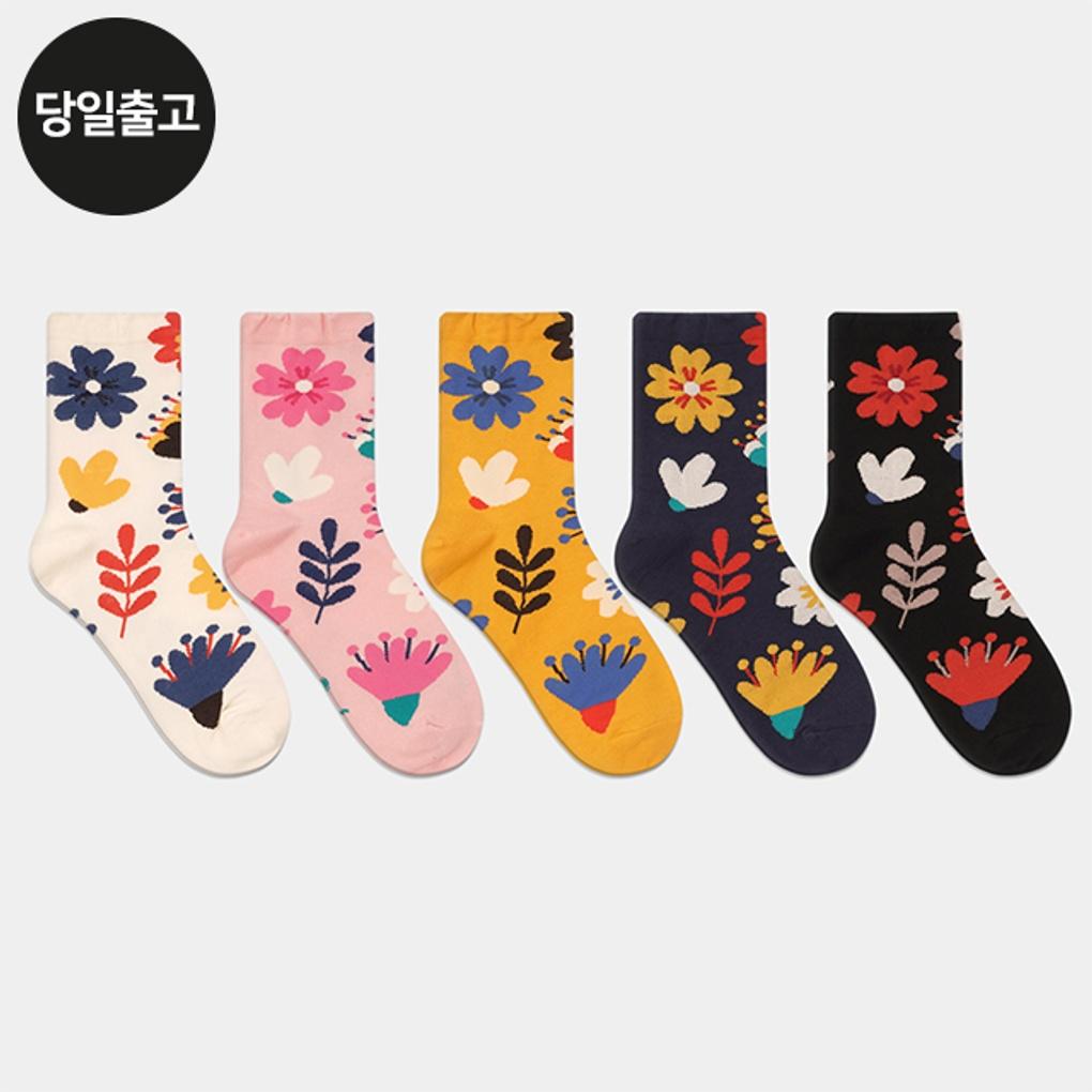 

Женские/Студенческие носки средней длины Lila от PG (5 пар) Набор - Повседневная мода для студенток