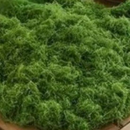 Artificial Moss Silk Grass Lawn for Landscaping and Decoration