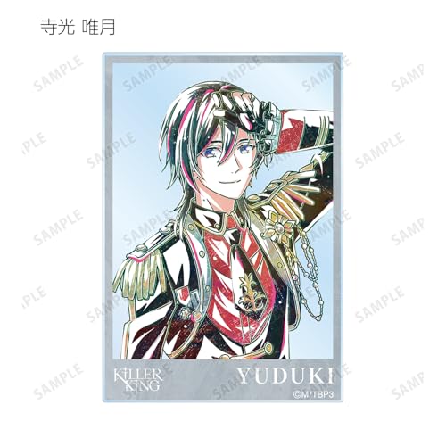 B PROJECT ~Hot Love Call~ Trading Ani Art 2nd Edition Acrylic Cards Box of 16