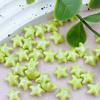 20pcs Ceramic Ceramic Spacer Loose Beads Fresh Color Jewelry Making Material Starfish Bead  Student