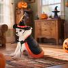 Halloween Dog Cape Costume With Hat Pet Cape Set Bat/Pumpkin/Star  Black Orange And Gold Spider Print