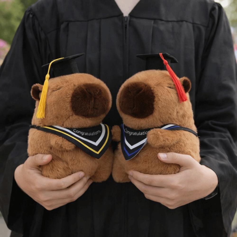 25 CM Cute Stuffed Animal Cartoon Design Doctor Hat Capybara  Gift Giving