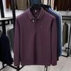 Men's Long Sleeve Lapel Polo Shirt - Versatile Casual Base Layer for Spring and Autumn.