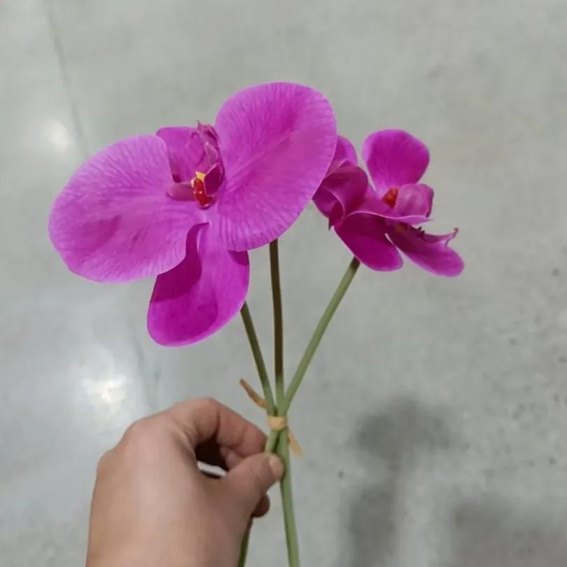 12Pc 3D Print Film Phalaenopsis Artificial Flowers Party Home Decoration Ornaments Fake Flowers Butterfly Orchid Wedding Bouquet