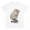 2026 Summer Wounisex Tshirt Eepy Cat Sleepy Cat Meme Awesome Tee Shirt Short Sleeve T Shirts Round Neck Clothing Gift Idea Y2k