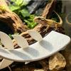 PLA Lizard Habitat Leaf Suction Cups Basking Rest Terrace  Reptile Basking Area