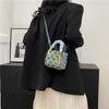Casual niche Princess Diana bag women's fashion versatile new portable shoulder messenger bag