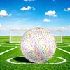 1pc Rainbow Paw Prints Size 5 Soccer Ball Professional Match Training Football Indoor &Outdoor Sports Ball Lightweight Durable m6520