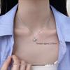 925 Sterling Silver Whale Pendant Necklace for Women - New 2025 High-End Light Luxury Clavicle Chain