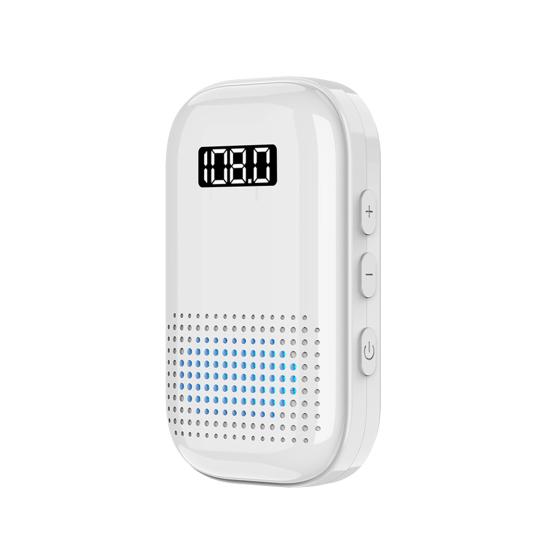 Wireless BT Audio Receiver Radio with Long-Lasting Battery | TF Card Mode |