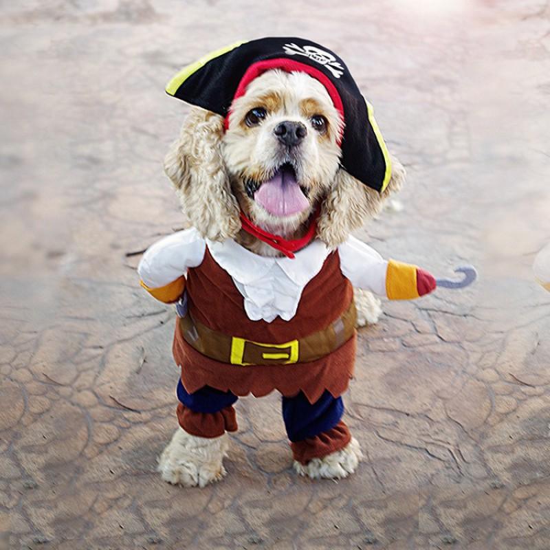 Funny Pet Dog Costume Standing Cosplay Outfit Small Medium Large Dogs