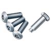 Carmate RAZO Rezzo Security Number Bolt 2 of Number Bolts for Cars (Set 3) - Anti-Theft (LS428)
