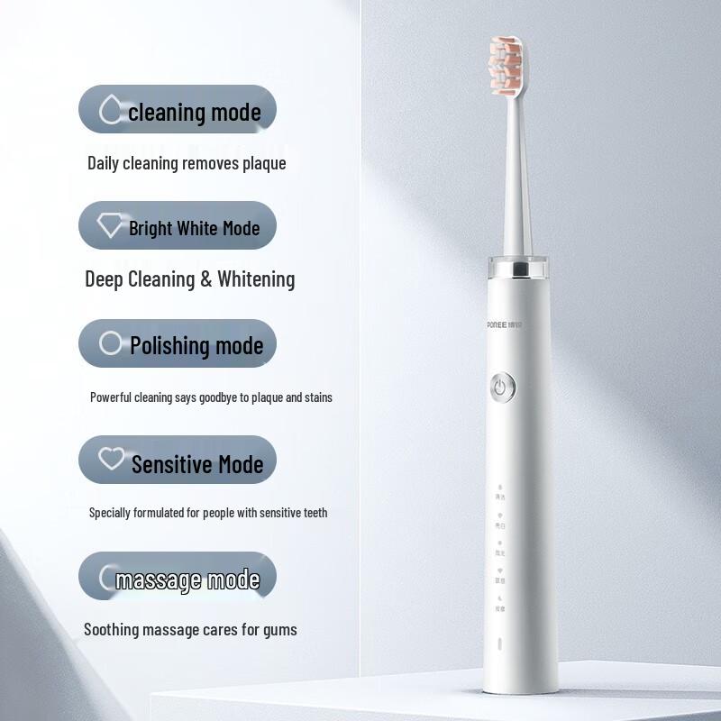 FLYCO Borui PT1701 Sonic Electric Toothbrush CN plug (adapter included)