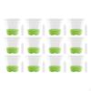 12 -PCs Plant Kindergarten Starter Pots with Drain Hole Quadratical Transparent Flower Seedling
