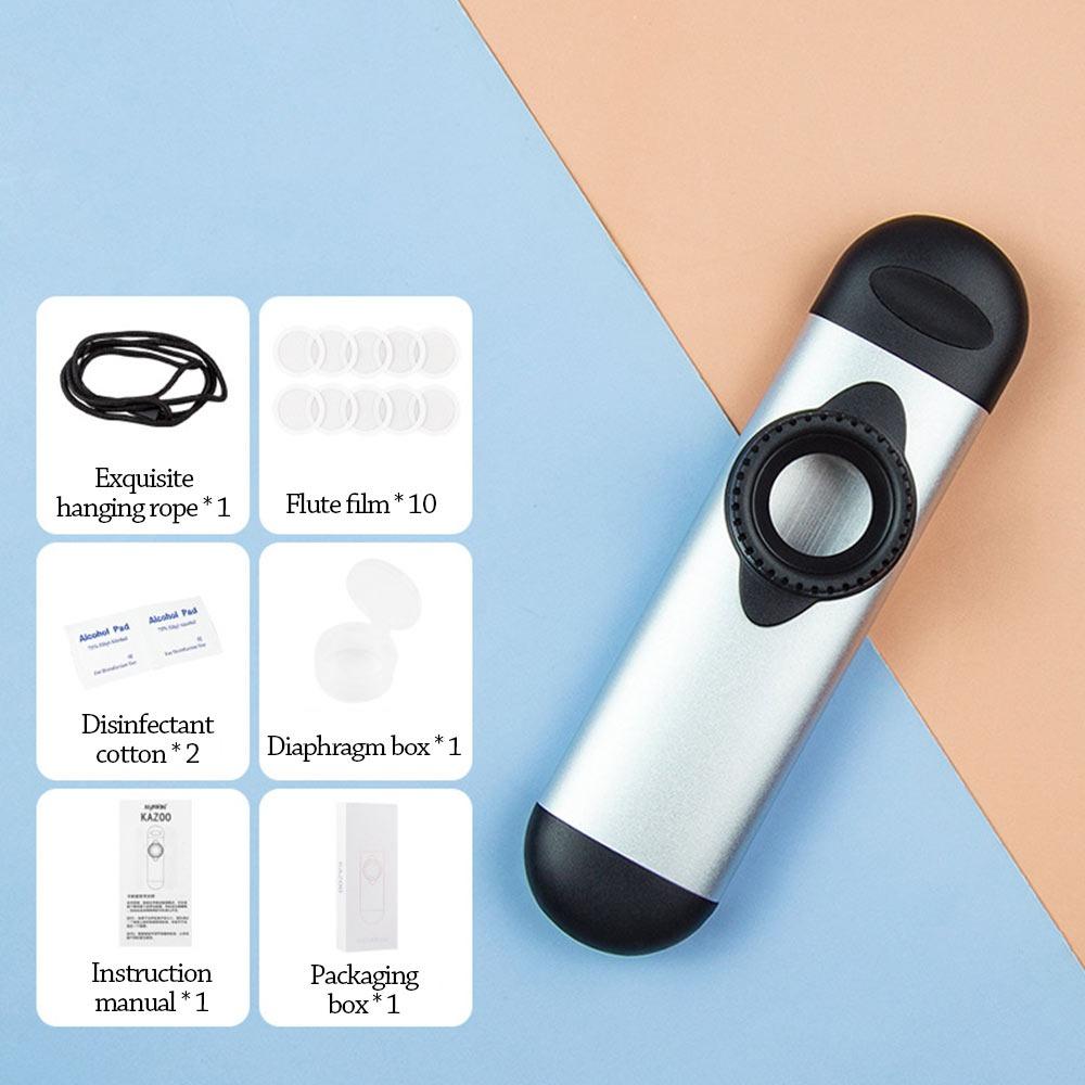 Lustige Musikinstrumente Leicht zu lernen Musikpfeife Spielzeug Kazoo Flöte Jungen Mädchen