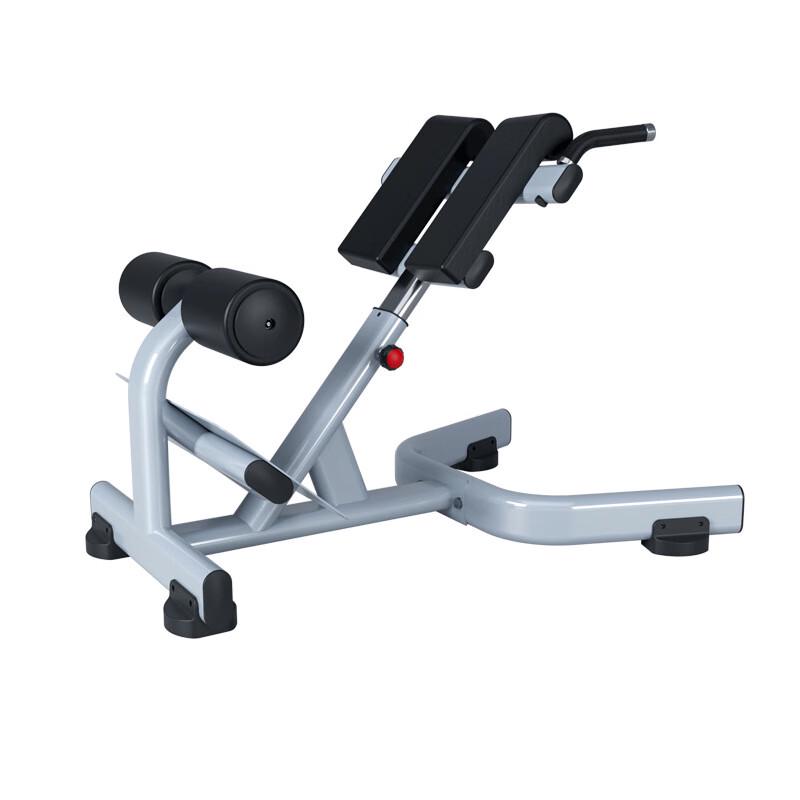 Preacher Curl & Roman Chair Fitness Bench