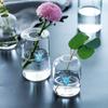 New Minimalist Printed Small Hole Glass Flower Vase Transparent Hydroponic Hydroponic Flower Arrangement Handicraft Decoration