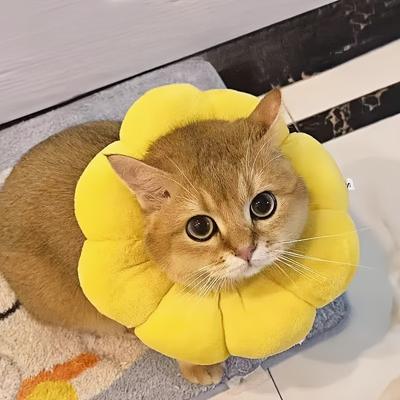 Sanfte Berührung| Verstellbarer Sonnenblumen-Haustier-Genesungskragen für Katzen & kleine Hunde - Weiches Polyester, Cartoon-Design, Anti-Leck- & Kratzschutz