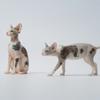 Mini Hairless Cat Model Creative Tattoo Cat Resin Simulation Animal Statue Decoration Modern Car Home Decoration Accessories