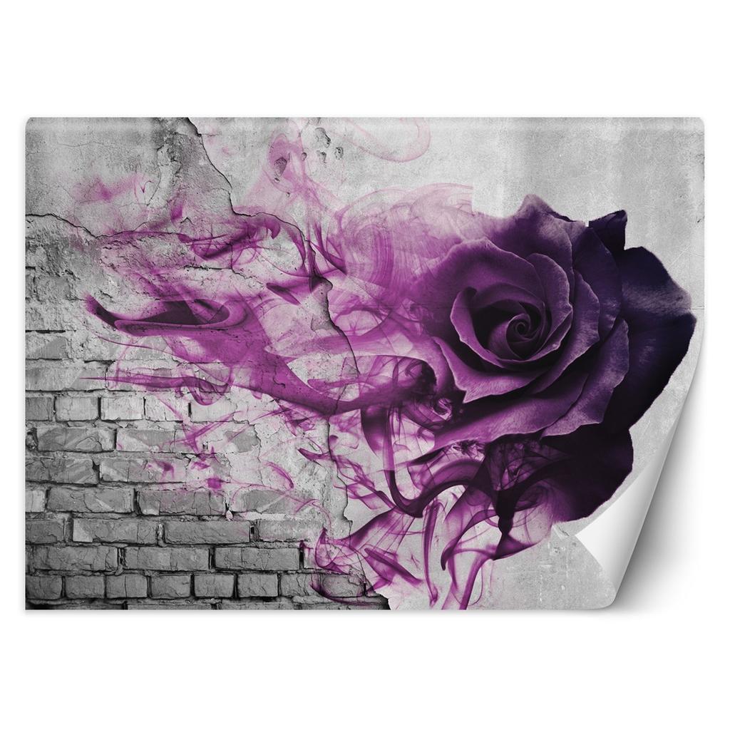 Wallpaper Purple rose