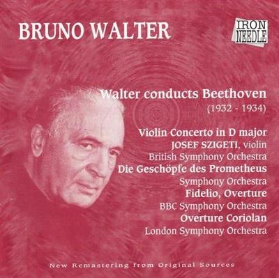 CD SZIGETI, LSO, BBC SO, WALTER - Beethoven;Violine Con.in D IN1302 Nicht Japanisch Klassisch Gebraucht