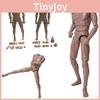 16 Scale Male Nude Body Muscular Mans Action Figure For Tc Dragon Soldier Toy
