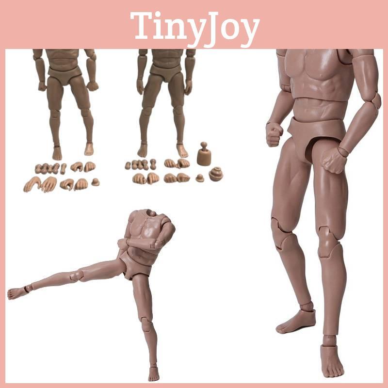 16 Scale Male Nude Body Muscular Mans Action Figure For Tc Dragon Soldier Toy