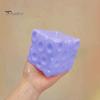 Realistic Cheese Shaped Toys Blueberry Squeeze Toy, Stress Relief Block Sensory Slow Tools Rising Cube Pinch Toy for Home Office Focus Aid Fidget