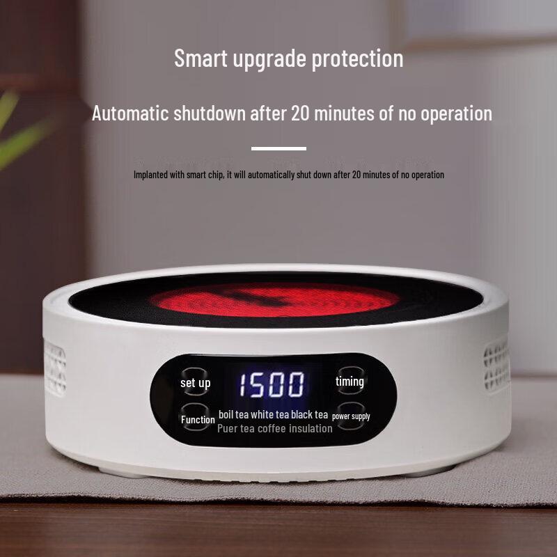 Multi-functional Electric Kettle & Tea Maker with Induction Cooktop