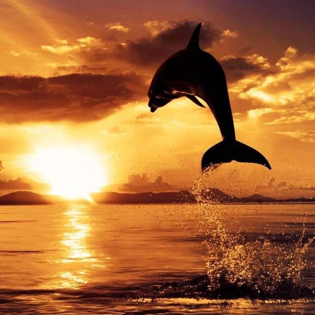 5D DIY Diamond Painting Dolphin Full Square Diamond Embroidery Animal Rhinestone Of Picture Cross Stitch Home Decoration