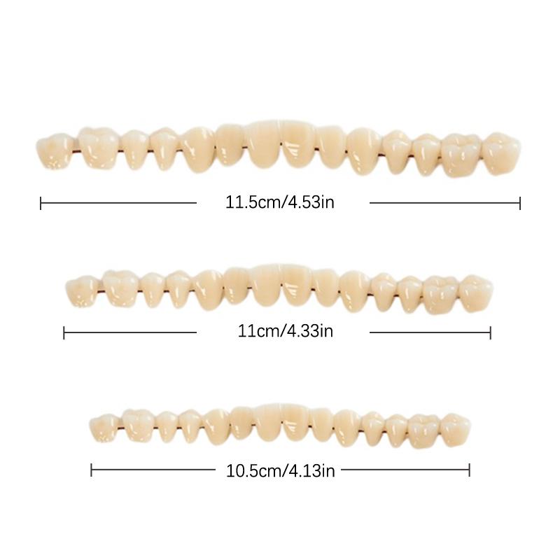 28Pcs Tooth/Set Universal Resin False Teeth Resin Model Durable Dentures Dental Material Teeth Teaching Model Dedicated Teeth