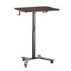 Standing Desk, Adjustable Height Mobile Stand Up Desk w/ Casters, 715 x 520 mm Small Computer Sit Stand Rolling Workstation w/ Hook, 15 kg Capacity,