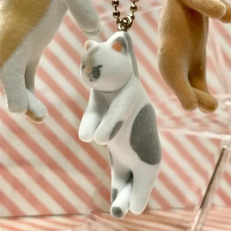 Flocking Cat Who Was Picked Up 3 The Cat That Was Killed By Pinching Dead End of The GashaponFigure Toys